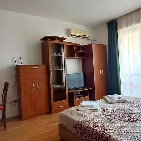 александър студио Διαμέρισμα *