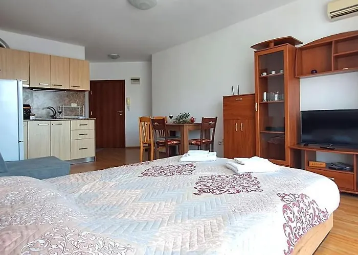 александър студио * Свети Влас